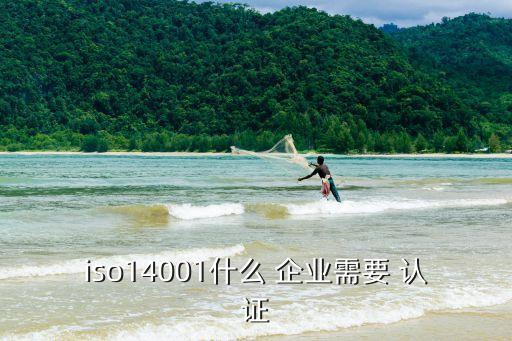 企业标准化需要认证