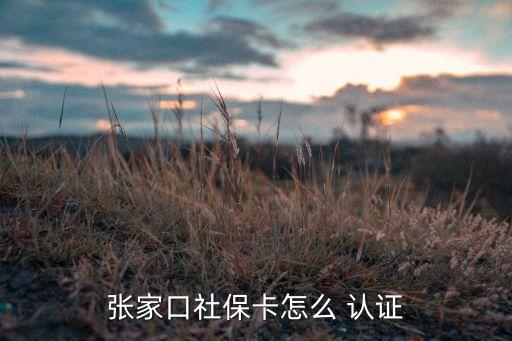 张家口社保卡怎么 认证
