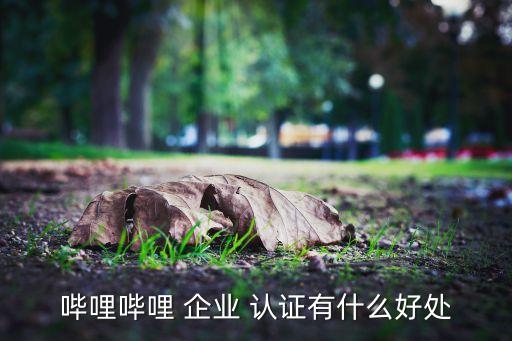 哔哩哔哩 企业 认证有什么好处