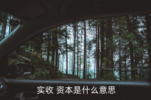  实收 资本是什么意思