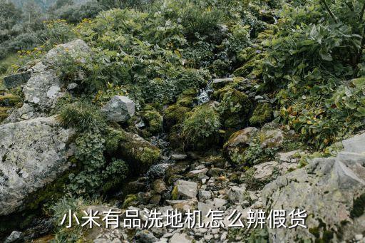  小米有品洗地机怎么辨假货