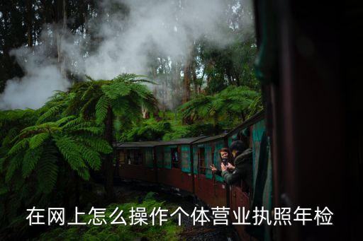 在网上怎么操作个体营业执照年检