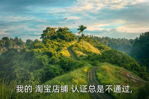 我的 淘宝店铺 认证总是不通过,
