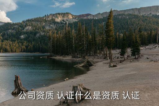 什么行业可以认证企业,检测认证属于什么行业