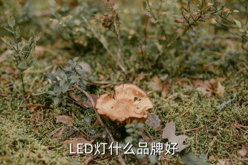 LED灯什么品牌好