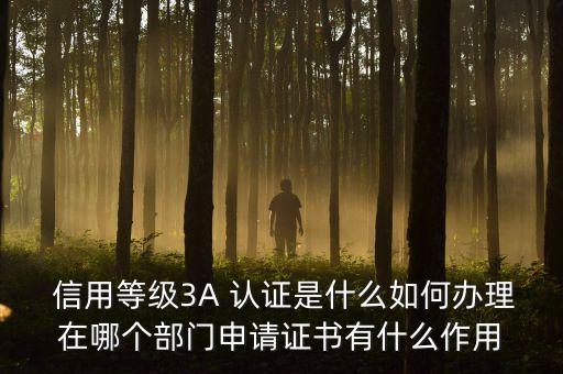 阜阳3a企业信用认证方法,阜阳建筑企业信用分查询系统