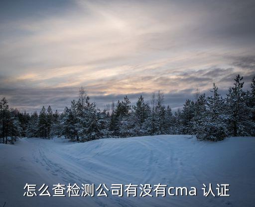 怎么查检测公司有没有cma 认证