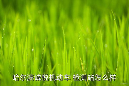 哈尔滨诚悦机动车 检测站怎么样