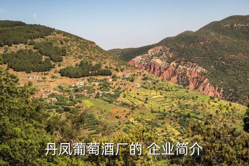 丹凤葡萄酒厂的 企业简介
