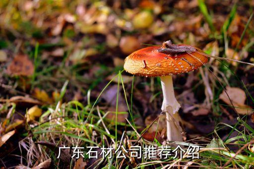  广东石材公司推荐介绍
