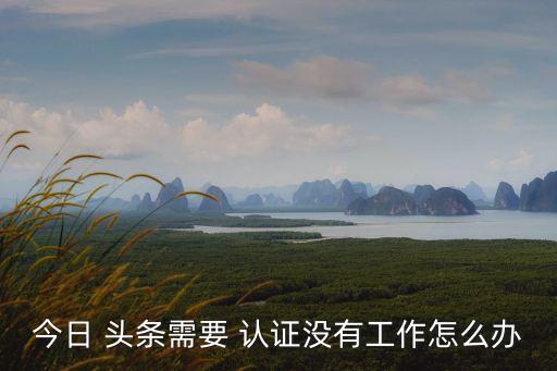今日 头条需要 认证没有工作怎么办