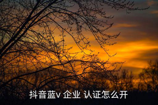 抖音蓝v 企业 认证怎么开