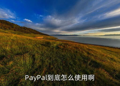 PayPal到底怎么使用啊