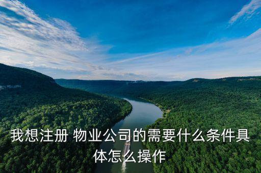 我想注册 物业公司的需要什么条件具体怎么操作