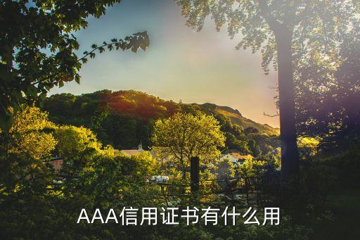 企业aaa认证企业,aaa企业信用认证骗局