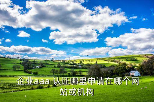 企业永久认证,企业认证需要多少费用