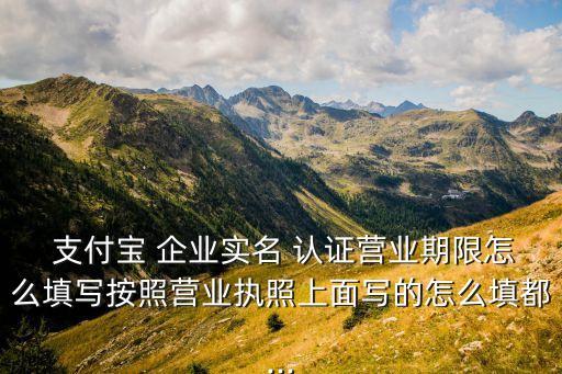  支付宝 企业实名 认证营业期限怎么填写按照营业执照上面写的怎么填都...
