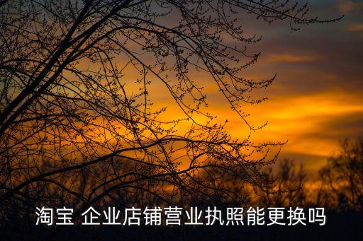 淘宝 企业店铺营业执照能更换吗