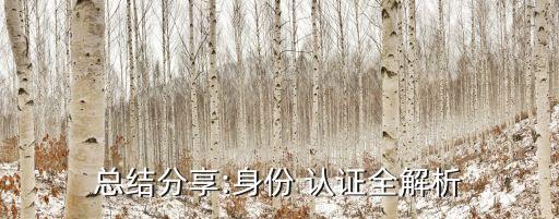 总结分享:身份 认证全解析