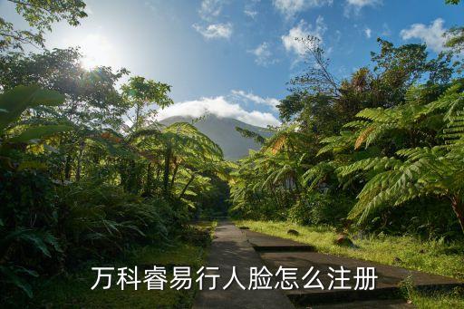 企业认证万科,万科是中小型企业吗?