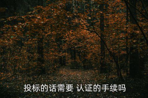  投标的话需要 认证的手续吗