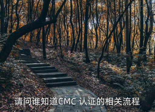 请问谁知道CMC 认证的相关流程