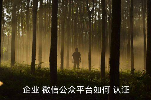  企业 微信公众平台如何 认证