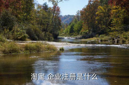 淘宝 企业注册是什么