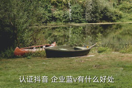  认证抖音 企业蓝v有什么好处