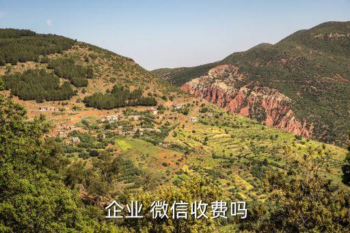 微信企业号认证年费,微信公众号企业号不认证可以吗