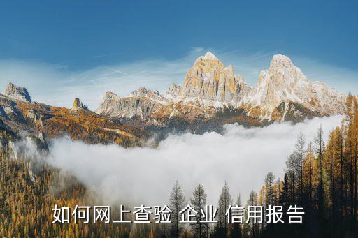 怎么查信用企业认证,aaa企业信用认证骗局