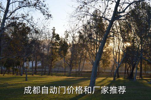 成都自动门价格和厂家推荐