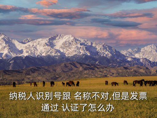 纳税人识别号跟 名称不对,但是发票通过 认证了怎么办