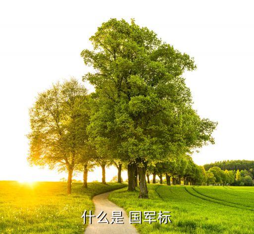 国军标体系认证通过的企业