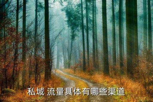 私域 流量具体有哪些渠道