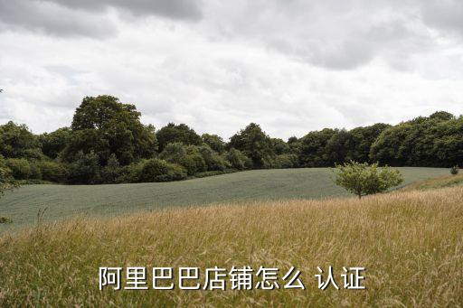 阿里巴巴店铺怎么 认证