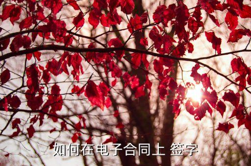 如何在电子合同上 签字