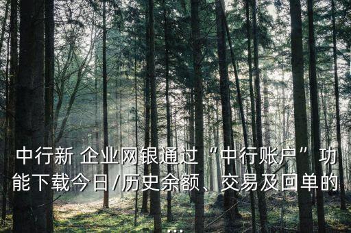中行新 企业网银通过“中行账户”功能下载今日/历史余额、交易及回单的...