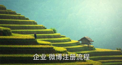 企业 微博注册流程