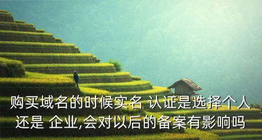 购买域名的时候实名 认证是选择个人还是 企业,会对以后的备案有影响吗