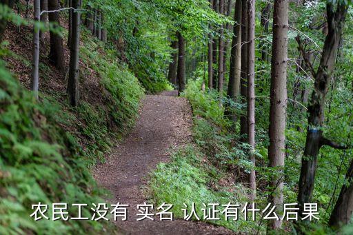农民工没有 实名 认证有什么后果