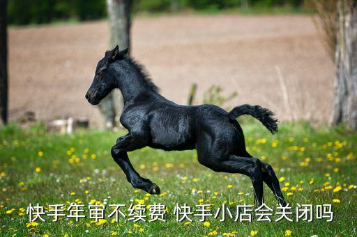  快手年审不续费 快手小店会关闭吗