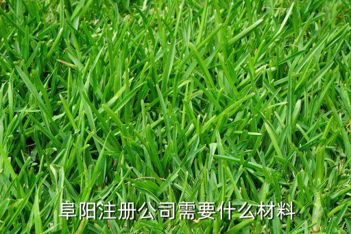 阜阳注册公司需要什么材料