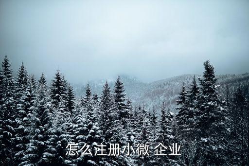 怎么注册小微 企业