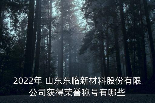2022年 山东东临新材料股份有限公司获得荣誉称号有哪些