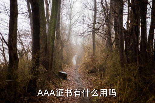AAA证书有什么用吗