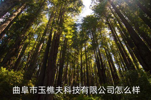  曲阜市玉樵夫科技有限公司怎么样