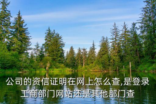 公司的资信证明在网上怎么查,是登录工商部门网站还是其他部门查