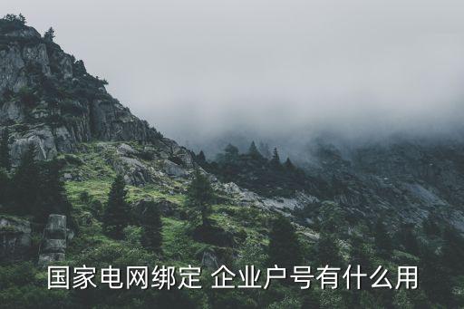 电力企业实名认证,国网电力实名认证有什么后果