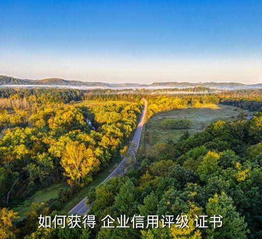如何获得 企业信用评级 证书
